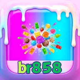 br858