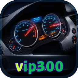 vip300
